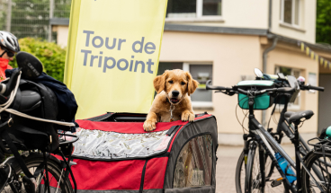 hund-tourdetripoint.png (Hund Tour de Tripoint)